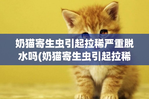 奶貓寄生蟲引起拉稀嚴重脫水嗎(奶貓寄生蟲引起拉稀嚴重脫水嗎怎么辦)