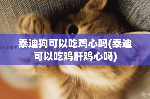 泰迪狗可以吃雞心嗎(泰迪可以吃雞肝雞心嗎)