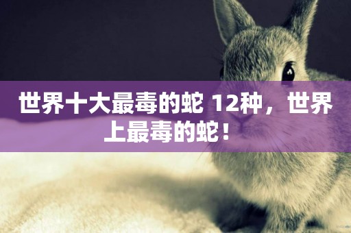 世界十大最毒的蛇 12種，世界上最毒的蛇！ 