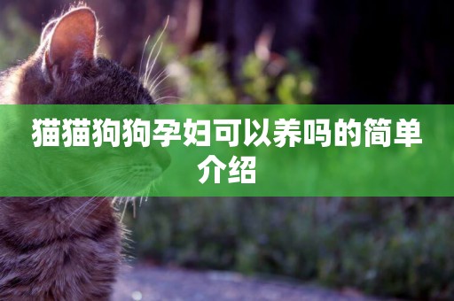 貓貓狗狗孕婦可以養嗎的簡單介紹