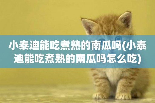 小泰迪能吃煮熟的南瓜嗎(小泰迪能吃煮熟的南瓜嗎怎么吃)