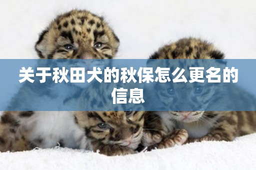 關于秋田犬的秋保怎么更名的信息