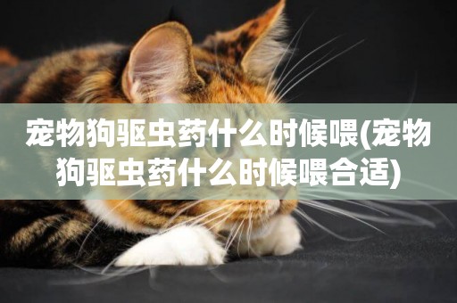 寵物狗驅蟲藥什么時候喂(寵物狗驅蟲藥什么時候喂合適)
