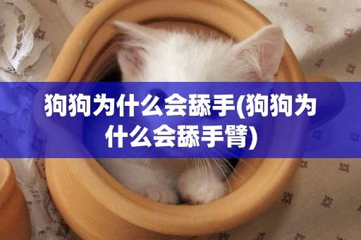 狗狗為什么會舔手(狗狗為什么會舔手臂)