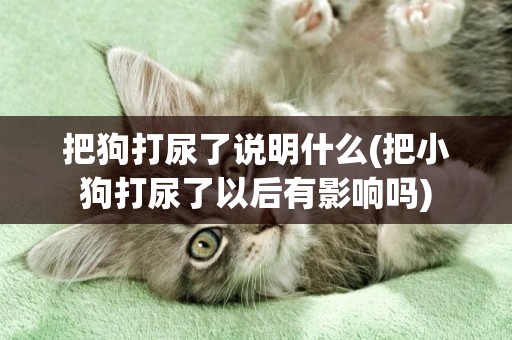 把狗打尿了說明什么(把小狗打尿了以后有影響嗎)