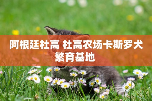 阿根廷杜高 杜高農場卡斯羅犬繁育基地 
