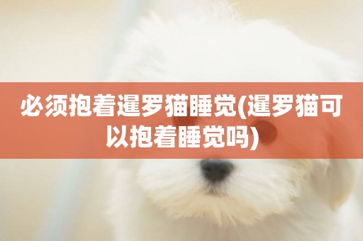 必須抱著暹羅貓睡覺(暹羅貓可以抱著睡覺嗎)