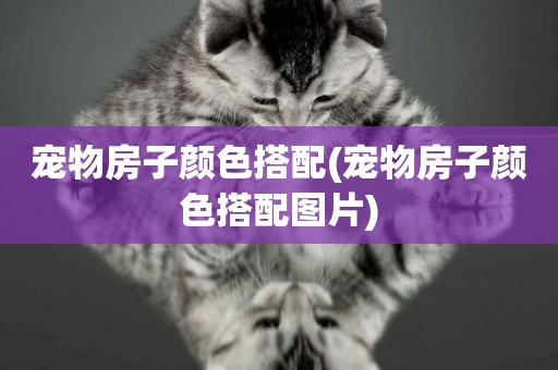 寵物房子顏色搭配(寵物房子顏色搭配圖片)