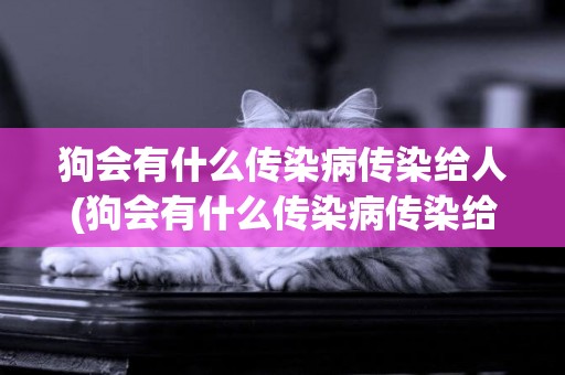 狗會有什么傳染病傳染給人(狗會有什么傳染病傳染給人的)