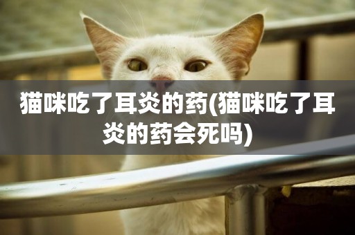 貓咪吃了耳炎的藥(貓咪吃了耳炎的藥會死嗎)
