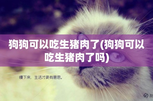 狗狗可以吃生豬肉了(狗狗可以吃生豬肉了嗎)