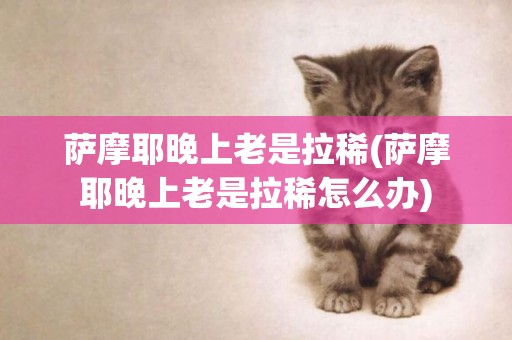 薩摩耶晚上老是拉稀(薩摩耶晚上老是拉稀怎么辦)