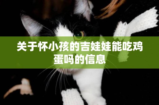 關于懷小孩的吉娃娃能吃雞蛋嗎的信息