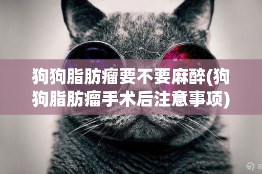 狗狗脂肪瘤要不要麻醉(狗狗脂肪瘤手術后注意事項)
