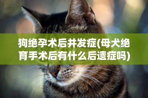狗絕孕術后并發癥(母犬絕育手術后有什么后遺癥嗎)