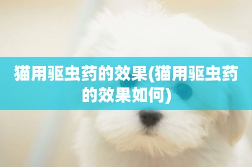 貓用驅蟲藥的效果(貓用驅蟲藥的效果如何)