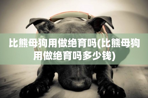 比熊母狗用做絕育嗎(比熊母狗用做絕育嗎多少錢)