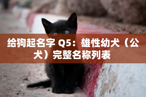 給狗起名字 Q5：雄性幼犬（公犬）完整名稱列表 