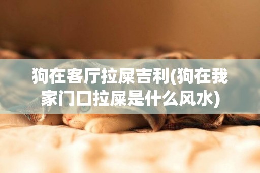 狗在客廳拉屎吉利(狗在我家門口拉屎是什么風水)