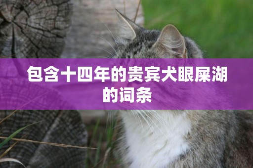 包含十四年的貴賓犬眼屎湖的詞條