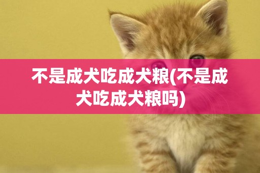 不是成犬吃成犬糧(不是成犬吃成犬糧嗎)