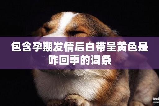 包含孕期發情后白帶呈黃色是咋回事的詞條