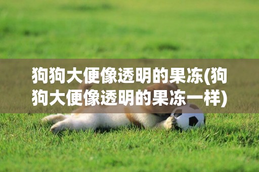 狗狗大便像透明的果凍(狗狗大便像透明的果凍一樣)