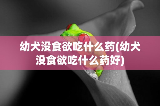 幼犬沒食欲吃什么藥(幼犬沒食欲吃什么藥好)