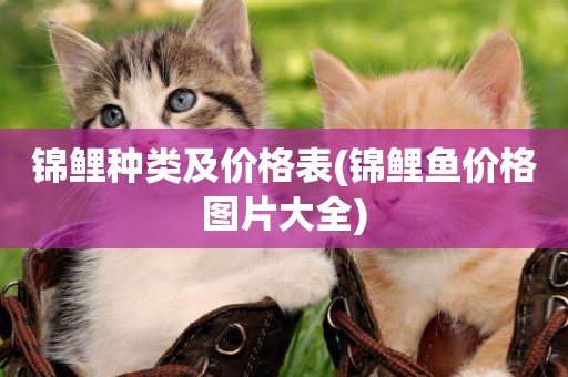錦鯉種類及價格表(錦鯉魚價格圖片大全)