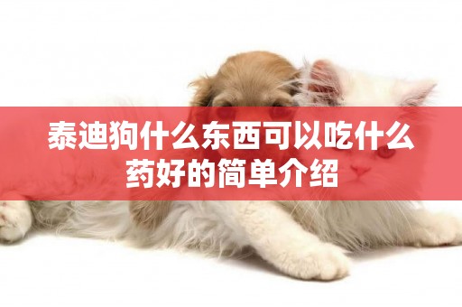 泰迪狗什么東西可以吃什么藥好的簡單介紹