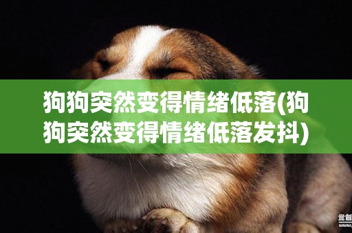 狗狗突然變得情緒低落(狗狗突然變得情緒低落發抖)
