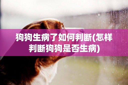 狗狗生病了如何判斷(怎樣判斷狗狗是否生病)