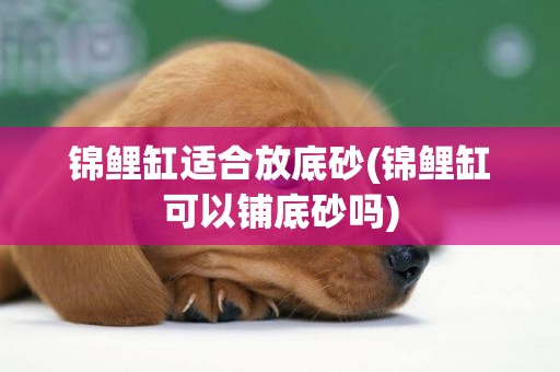 錦鯉缸適合放底砂(錦鯉缸可以鋪底砂嗎)