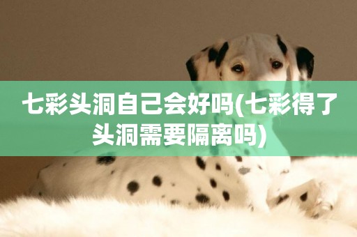 七彩頭洞自己會好嗎(七彩得了頭洞需要隔離嗎)