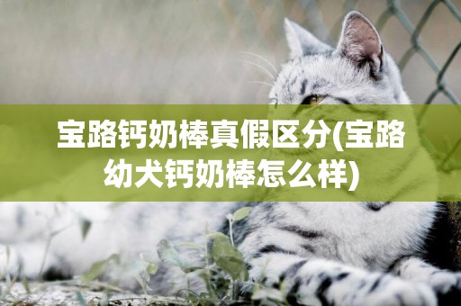 寶路鈣奶棒真假區分(寶路幼犬鈣奶棒怎么樣)