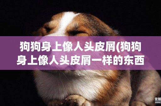 狗狗身上像人頭皮屑(狗狗身上像人頭皮屑一樣的東西癢)