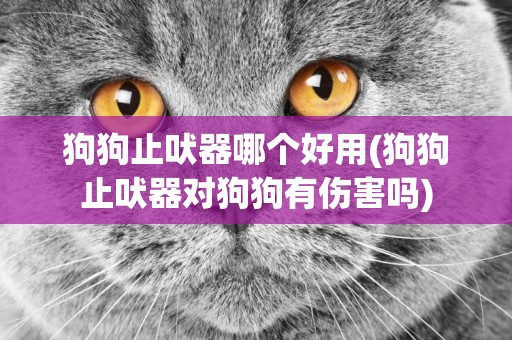 狗狗止吠器哪個好用(狗狗止吠器對狗狗有傷害嗎)