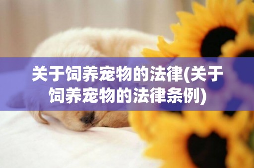 關于飼養寵物的法律(關于飼養寵物的法律條例)