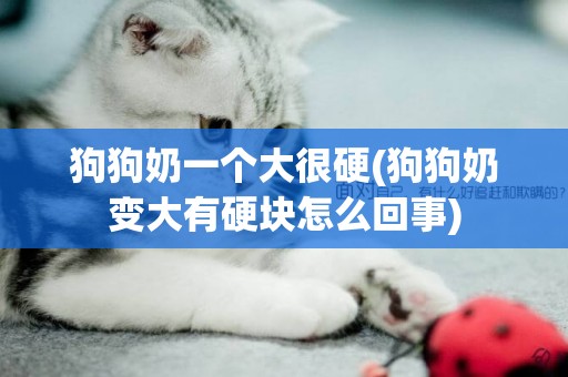 狗狗奶一個大很硬(狗狗奶變大有硬塊怎么回事)