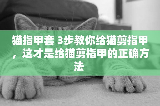 貓指甲套 3步教你給貓剪指甲，這才是給貓剪指甲的正確方法 