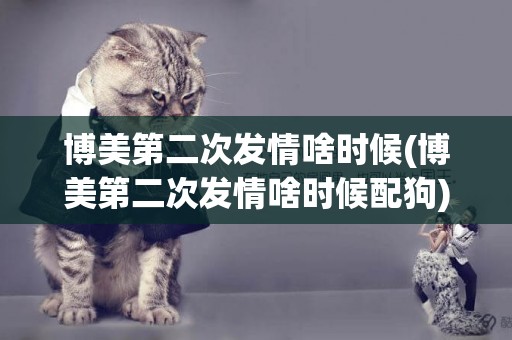 博美第二次發情啥時候(博美第二次發情啥時候配狗)