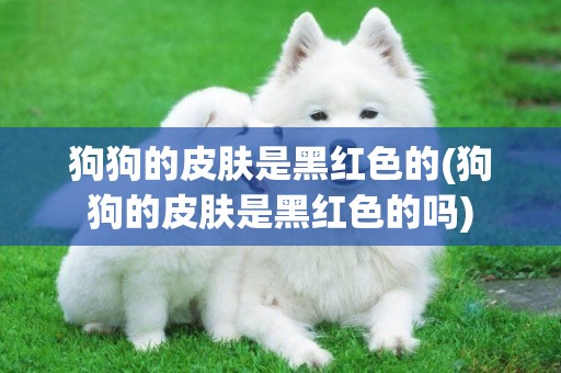 狗狗的皮膚是黑紅色的(狗狗的皮膚是黑紅色的嗎)
