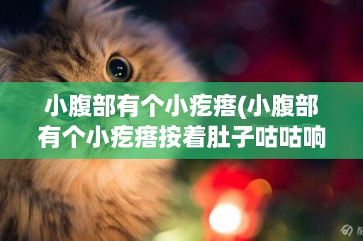 小腹部有個小疙瘩(小腹部有個小疙瘩按著肚子咕咕響)