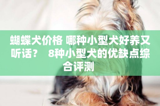 蝴蝶犬價格 哪種小型犬好養又聽話？  8種小型犬的優缺點綜合評測 