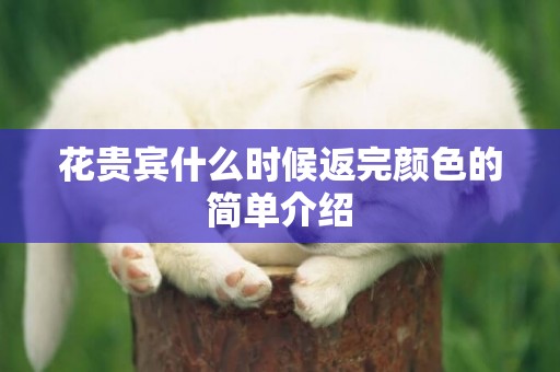 花貴賓什么時候返完顏色的簡單介紹