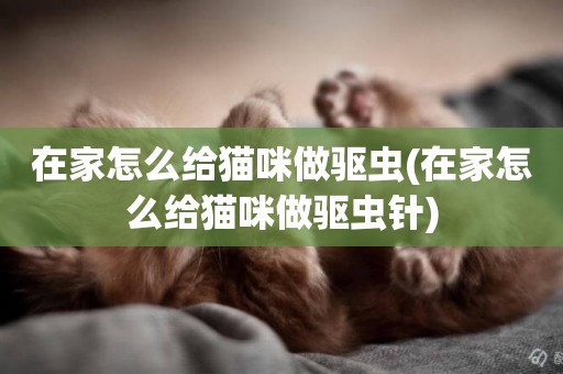 在家怎么給貓咪做驅蟲(在家怎么給貓咪做驅蟲針)