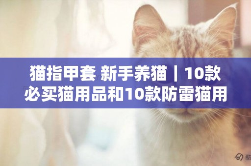 貓指甲套 新手養貓｜10款必買貓用品和10款防雷貓用品 