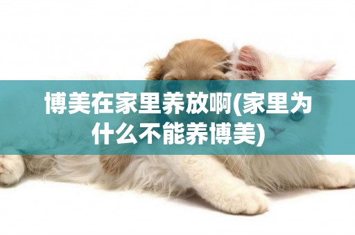 博美在家里養放啊(家里為什么不能養博美)