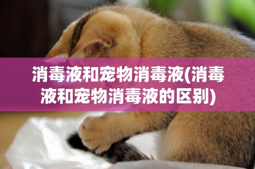 消毒液和寵物消毒液(消毒液和寵物消毒液的區別)