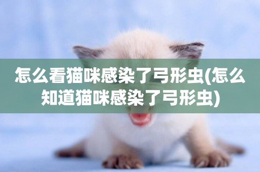 怎么看貓咪感染了弓形蟲(怎么知道貓咪感染了弓形蟲)